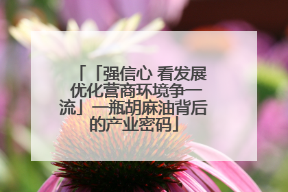 「强信心 看发展 优化营商环境争一流」一瓶胡麻油背后的产业密码